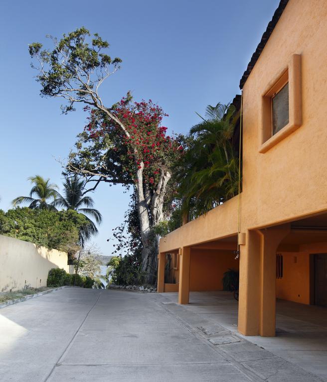 Hotel Casa Don Francisco Ixtapa  Ruang foto
